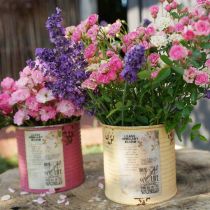 Artikel Deko Dose Apricot Pflanztopf Metall Sommerdeko Ø15,5cm H15cm