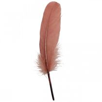 Artikel Dekorationsfedern aus echten Vogelfedern, Altrosa, ca. 16–20 cm, 20 g