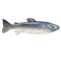 Artikel Deko-Fisch Attrappe Forelle aus Kunststoff 31 cm in Silber, Weiß und Schwarz