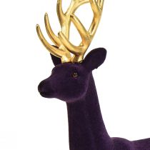 Deko Hirsch Rentier Violett Gold Dekofigur Beflockt H37cm