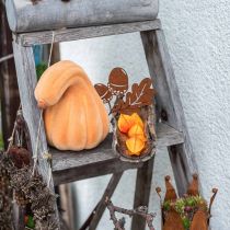 Deko Kürbis gekrümmt Orange beflockt Künstlicher Zierkürbis 18cm