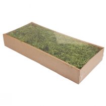 Artikel Deko-Moos aus getrocknetem Waldmoos, 300 g, Grün