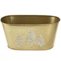 Artikel Dekoschale Metall oval 24×13×12,5cm Gold mit Tannenbaum-Motiv