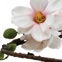 Dekoring Künstliche Magnolie Frühlingsdeko zum Hängen Ø24cm