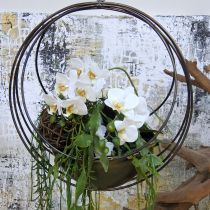 Dekoschale zum Hängen Blumenampel Metall Ø31cm H55,5cm