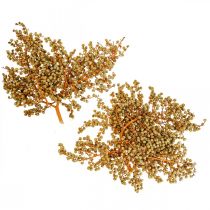 Dekozweige Beeren getrocknet Hanfpalme Palm Uva Natur 1kg