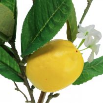 Dekozweig Zitronenzweig mit Blüten und Früchten H68cm