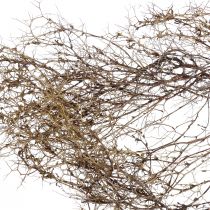 Artikel Dekozweige Iron Bush Holz Natur Braun 25–40cm 250g