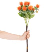 Artikel Künstliche Färberdistel orange 55cm für Wohnraumdeko und Vasen 4St