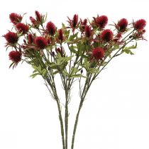 Distel Künstliche Blume Rot Burgund 10 Blütenköpfe 68cm 3St