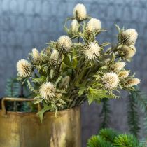 Artikel Distel künstlich Deko-Zweig Creme 10 Blütenköpfe 68cm 3St