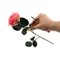 Rosendornen-Entferner mit Messer