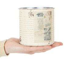 Artikel Dose Übertopf Metall Creme Shabby Chic Ø11cm H10,5cm