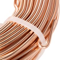 Artikel Aluminiumdraht Rolle 60 m Kupfer für Basteln und Floristik