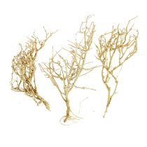 Dry Tree 500g gebleicht