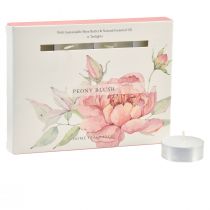 Artikel Duftkerzen Teelichter Pfingsrose Peony Blush Ø3,5cm 12St