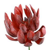 Sukkulente Echeveria Künstliche Grünpflanzen Rot Ø12cm 19,5cm