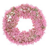Echeverienkranz Rosa Ø18cm 4St