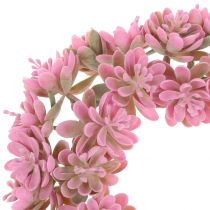 Echeverienkranz Rosa Ø18cm 4St