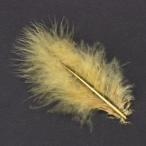 Artikel Echte Vogelfedern Hellgelb 5-10 cm 20 g Bastelmaterial