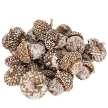 Artikel Eicheln aus Naturmaterial, weiß gewaschen, 1–3 cm, 300 g, für Dekoration