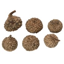 Artikel Eichelkappen natur 2cm braun 300g Dekoration Herbst Advent
