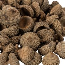 Artikel Eichelkappen natur 2cm braun 300g Dekoration Herbst Advent