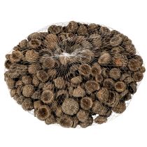 Artikel Eichelkappen natur 2cm braun 300g Dekoration Herbst Advent