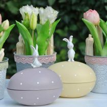 Hase auf Ei, Dekoei zum Befüllen, Ostern, Deko-Schatulle Gelb, Lila H17/16cm L15cm 2er-Set