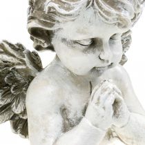 Betender Engel, Trauerfloristik, Büste Engelsfigur, Grabdeko H19cm B19,5cm