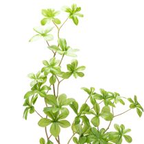 Artikel Künstlicher Zweig Schefflera aus Kunststoff und Polyester 95cm Grün für Wohnräume