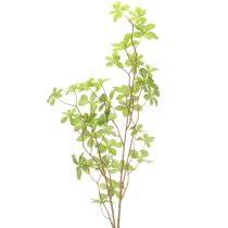 Artikel Künstlicher Zweig Schefflera aus Kunststoff und Polyester 95cm Grün für Wohnräume