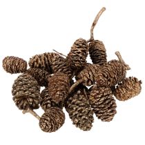 Artikel Goldene Erlenzapfen 3 cm Naturprodukt 300 g für Dekoration und Basteln