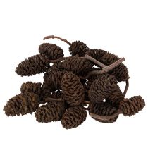 Artikel Erlenzapfen naturbelassen lose 3 cm 300 g naturbraun für Dekoration