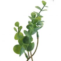 Eukalyptus Zweig künstlich Grün 37cm 6St