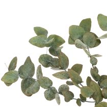 Artikel Eukalyptus konserviert Grün 75cm Deko-Zweige 150g