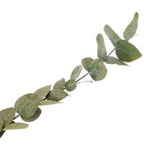 Artikel Eukalyptus konserviert Grün 75cm Deko-Zweige 150g
