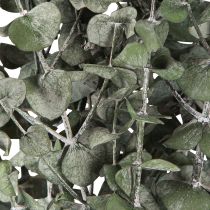 Artikel Eukalyptus Konserviert Zweige Blätter Rund Grün 150g