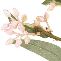Artikel Eukalyptus Künstlich Zweig Blätter Knospen 75cm 2St