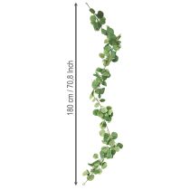 Artikel Eukalyptus künstlich Grüne Blättergirlande mit 2 Ösen 160cm