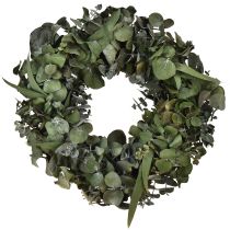 Artikel Eukalyptuskranz Naturkranz Eukalyptus Konserviert Ø35cm