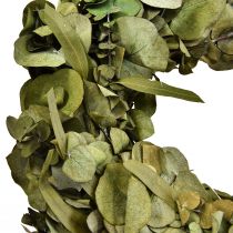 Eukalyptuskranz Naturkranz Eukalyptus Konserviert Ø35cm