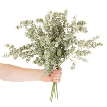 Artikel Künstlicher Eukalyptuszweig 49cm aus Kunststoff im 4er-Set für dekorative Arrangements