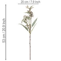 Artikel Künstlicher Eukalyptuszweig 53cm Grün 3er Set für Dekoration