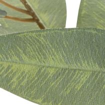 Artikel Künstlicher Eukalyptuszweig aus Kunststoff naturgrün 100cm für Innenbereich