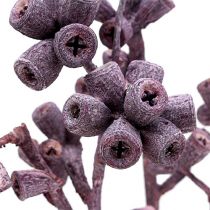 Artikel Eukalyptuszweig Brombeer gefrostet 17–35cm 25 Stück