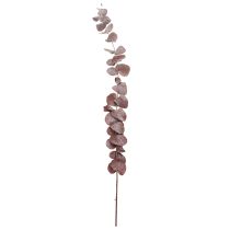 Artikel Eukalyptuszweige konserviert Rot 75cm Trockenblumen 150g