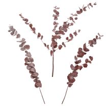 Artikel Eukalyptuszweige konserviert Rot 75cm Trockenblumen 150g