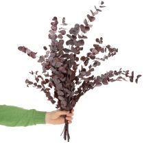 Artikel Eukalyptuszweige konserviert Rot 75cm Trockenblumen 150g