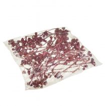 Artikel Gefrostete Eukalyptuszweige Rot mit Kapseln für Dekoration 25St